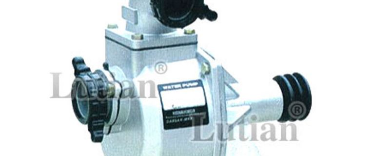 Gasoline Vibrating Spear